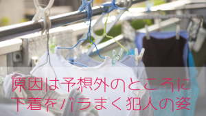 100枚以上の女性下着を捨てていく嫌がらせの犯人は?