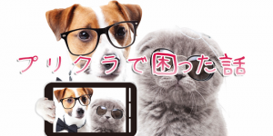 探偵に見抜けるか?盛ったプリクラとターゲット