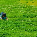 生き別れの父親を探すにはどうすればよいか