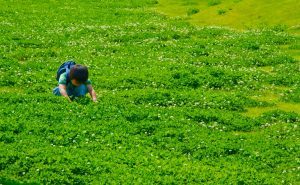 生き別れの父親を探すにはどうすればよいか