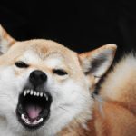 殺してやりたいぐらい憎い!と思ったら思い出して欲しい3つの事~復讐代行について