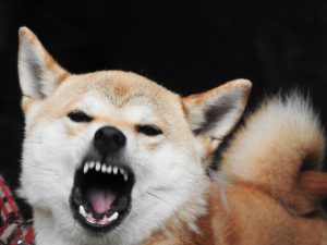 殺してやりたいぐらい憎い!と思ったら思い出して欲しい3つの事~復讐代行について