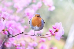 3月~4月のご予約状況、面談場所の花
