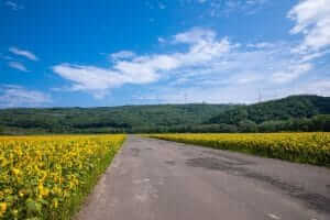 【重要】新型コロナウイルス感染防止対策について（11/7追加）