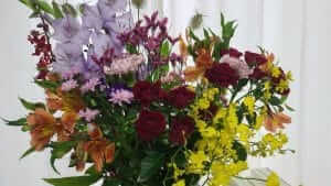 6月~7月 営業状況のお知らせ