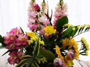 2月～3月　営業状況のお知らせ