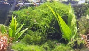 8月～9月 営業状況のお知らせ