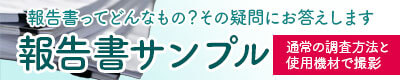 報告書サンプル