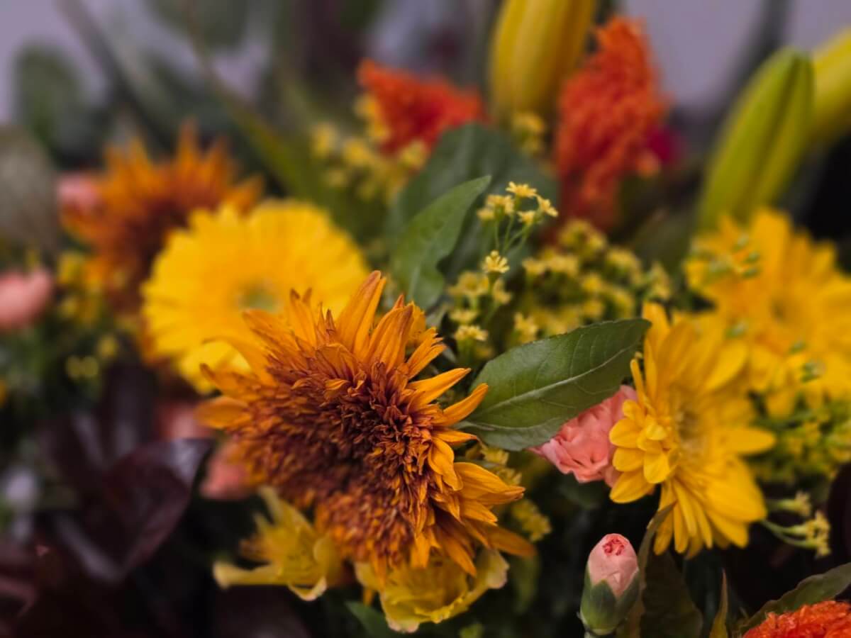 2025年12月 営業状況のお知らせ